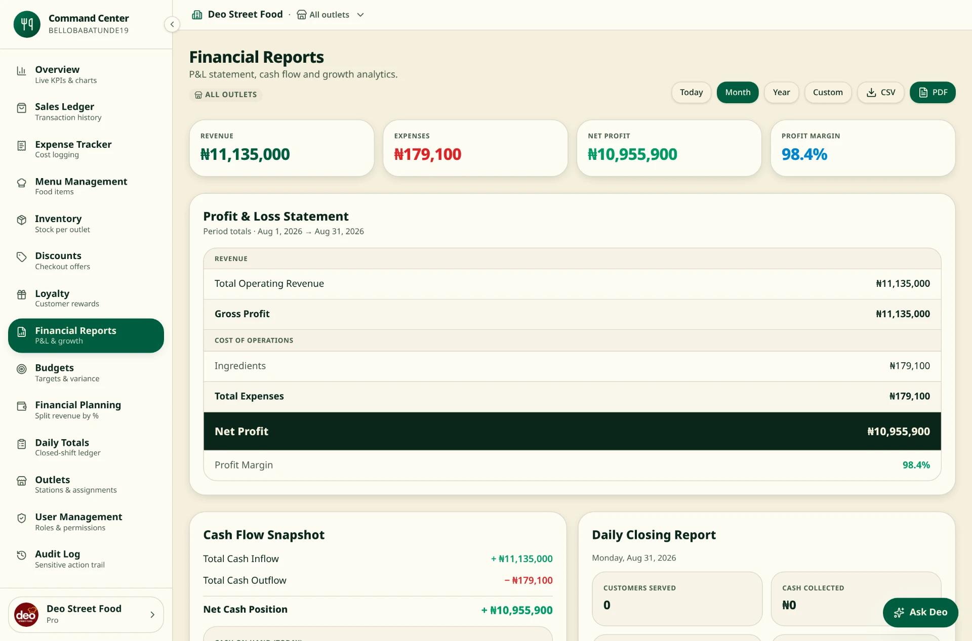 Screenshot: Financial reports — P&L and cash flow
